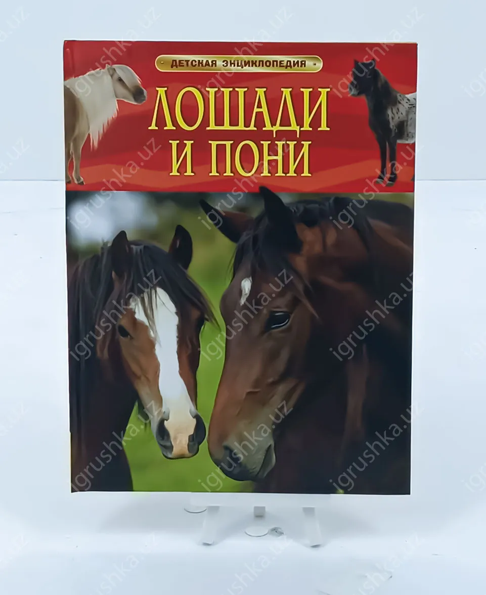картинка Лошади и пони. Детская энциклопедия от магазина igrushka.uz