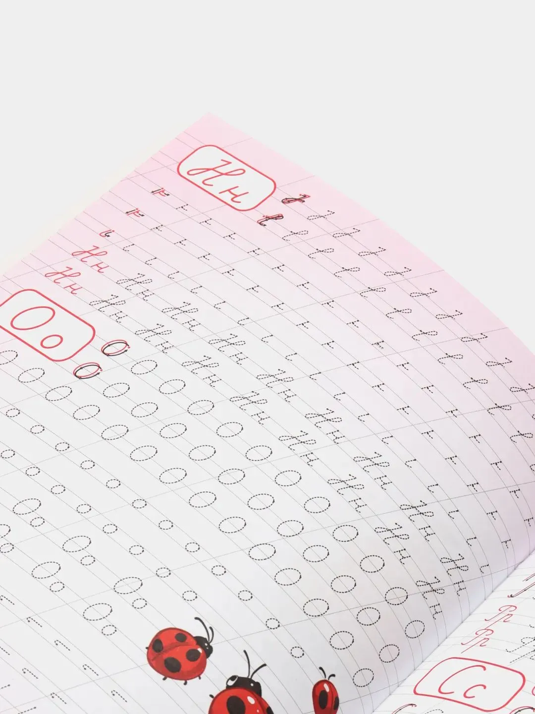 картинка Каллиграфические прописи для девочек А4, листов: 8, шт. Пишем цифры, буквы, слоги|  Грецкая Анастасия от магазина igrushka.uz