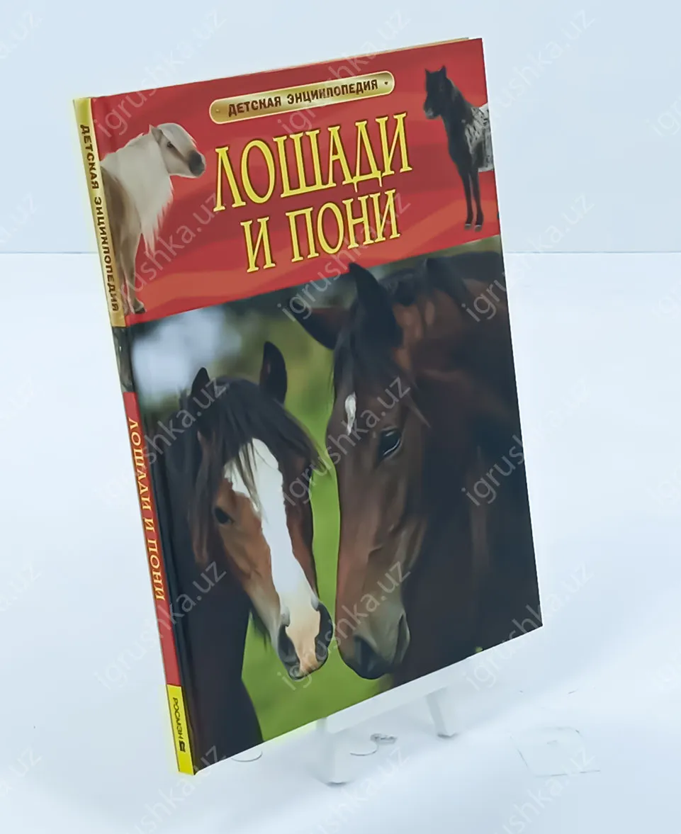 картинка Лошади и пони. Детская энциклопедия от магазина igrushka.uz