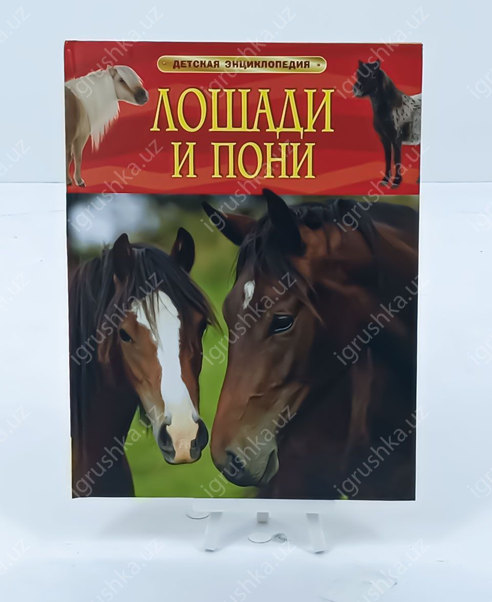 картинка Лошади и пони. Детская энциклопедия от магазина igrushka.uz