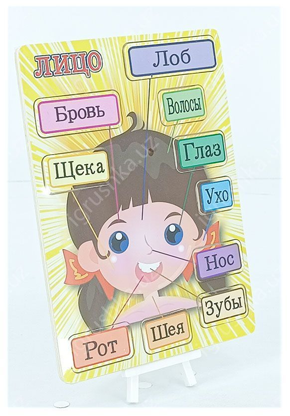 картинка Рамка-вкладыш "Моё лицо", русский язык, 10 элементов от магазина igrushka.uz