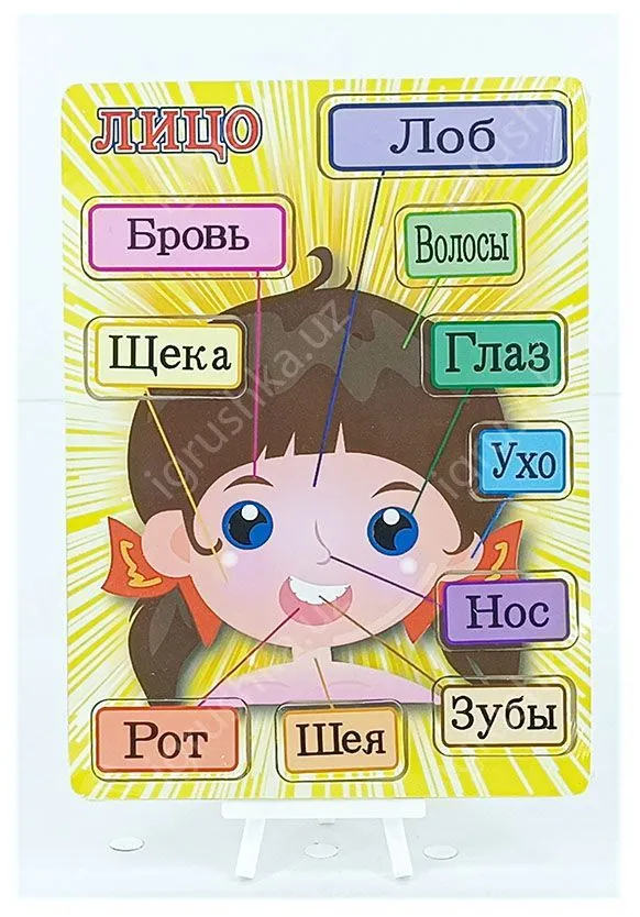 картинка Рамка-вкладыш "Моё лицо", русский язык, 10 элементов от магазина igrushka.uz